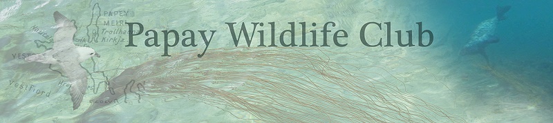 Papay Wildlife Club Holidays